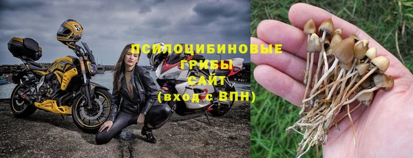 соль ск Алексеевка