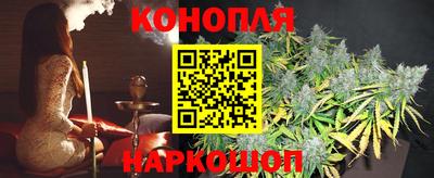 гашик Ливны