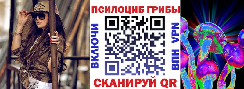 Галлюциногенные грибы Psilocybine cubensis  гидра tor  Феодосия 