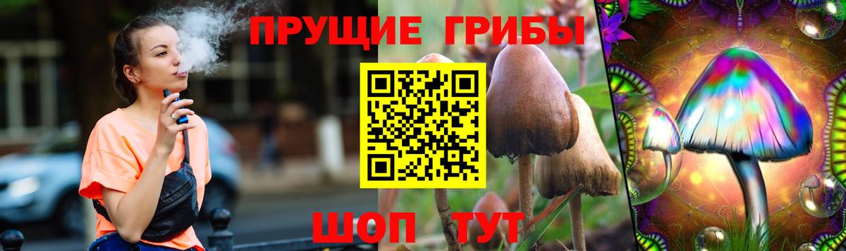 Галлюциногенные грибы Cubensis Феодосия